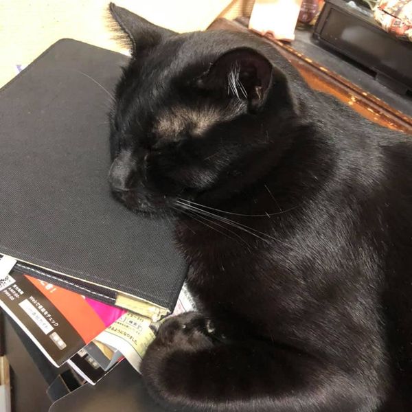 117746421_1225499391116114_3081939154493508912_n