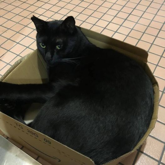 117752417_1224864464512940_2845364089555890906_n