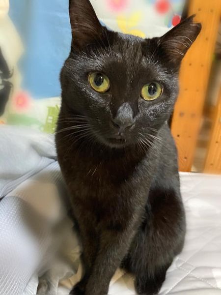 118153085_1234321063567280_7058319043903911505_n