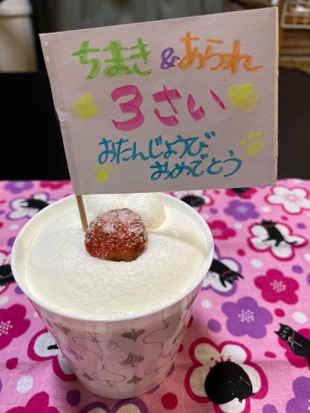 118311366_1238500889815964_4959595251323056840_n