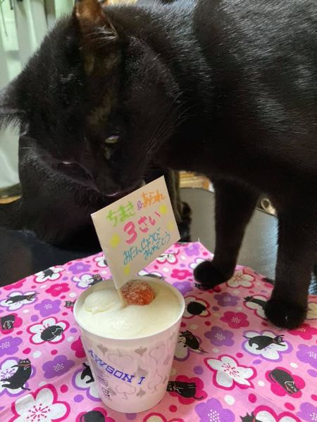 118360991_1238500909815962_5313079088403648078_n