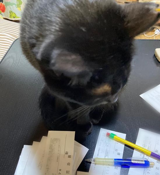 118909819_1244933225839397_794247248267645780_n