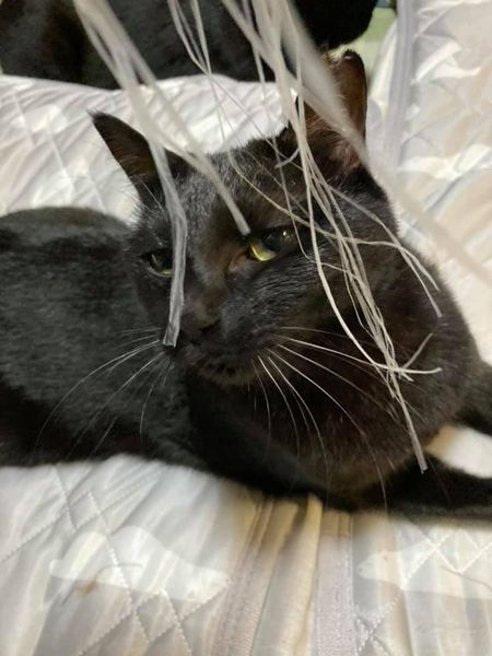 119943582_1259866684346051_583725957169814054_n