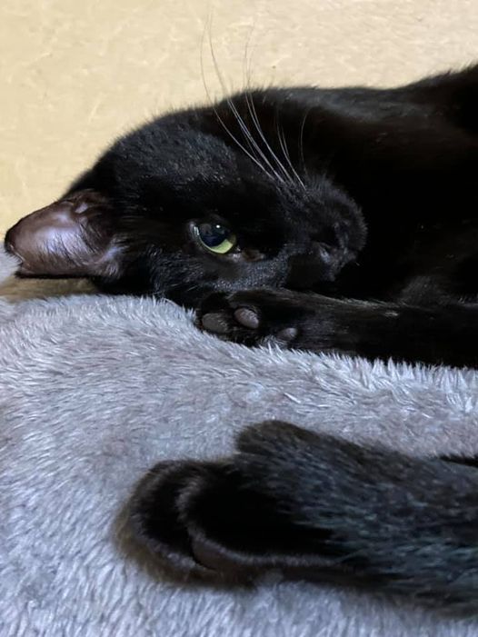 119988172_1257995644533155_1793104927500473679_n