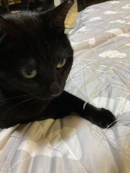 120020427_1259866641012722_3264576361509655563_n