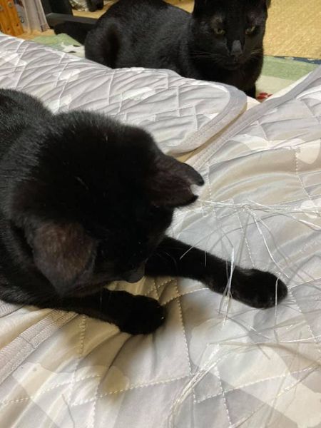 120093849_1259866707679382_233948042930883457_n