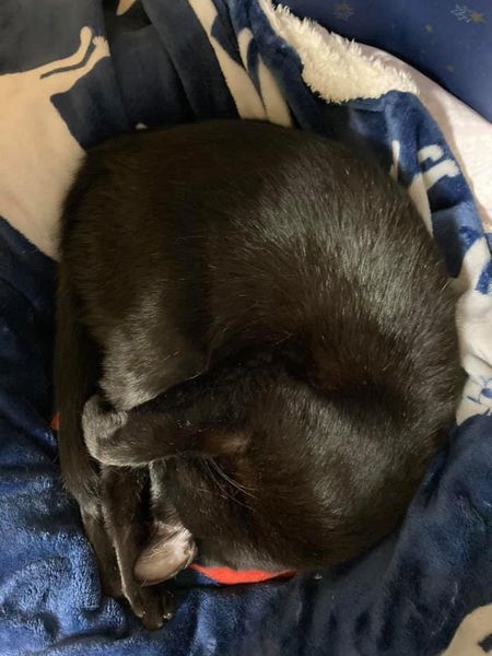 127250578_1313920282274024_4541237410873257512_n