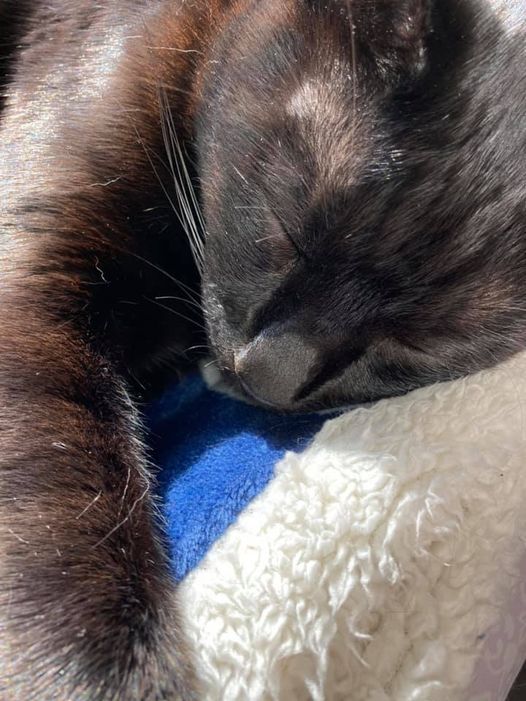 130739443_1327485907584128_6503463746775518031_n