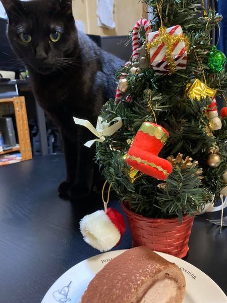 132805622_1338512849814767_1039635473008660318_n