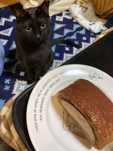 132892700_1338512856481433_4961192607406420206_n