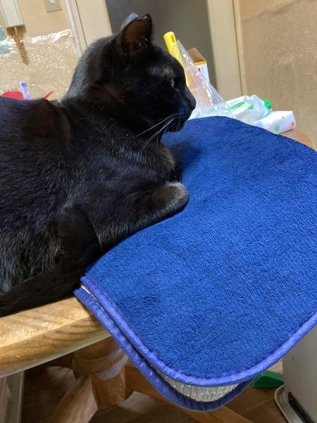 134423436_1343925799273472_1721243460378906861_n