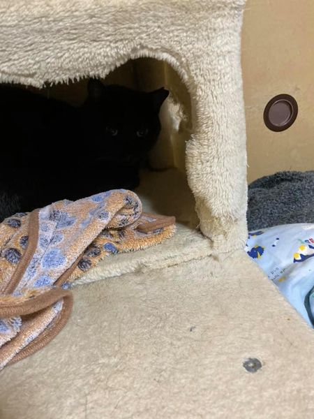 134498473_1343925809273471_8765279140075730530_n