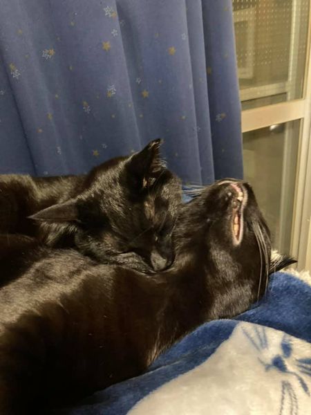 135550571_1347968415535877_1960899045389587770_n