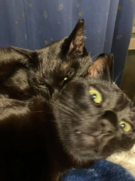 135766677_1347971308868921_4241866888637012184_n