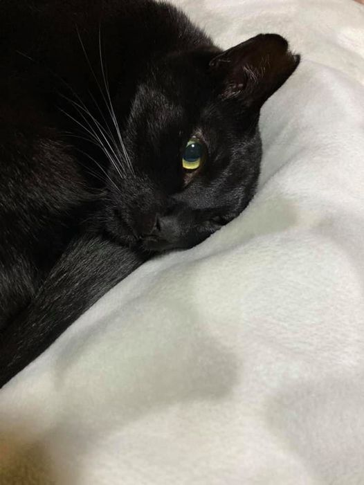 138808782_1357710797894972_3322088528174246213_n