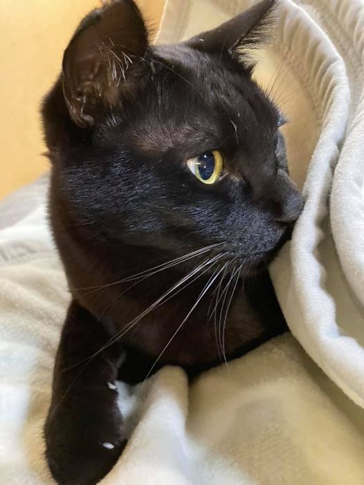 139556792_1361698434162875_4116270588087773050_n