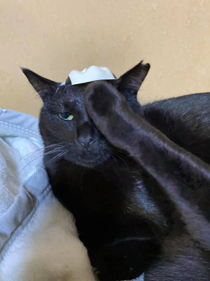 145320475_1374264792906239_835764286072596215_n