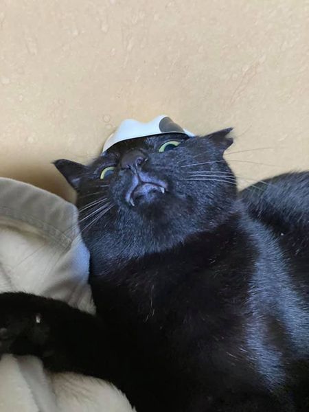 145372968_1374264716239580_5587784093974517132_n