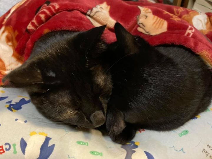 147533590_1377484805917571_6177986435388615245_n