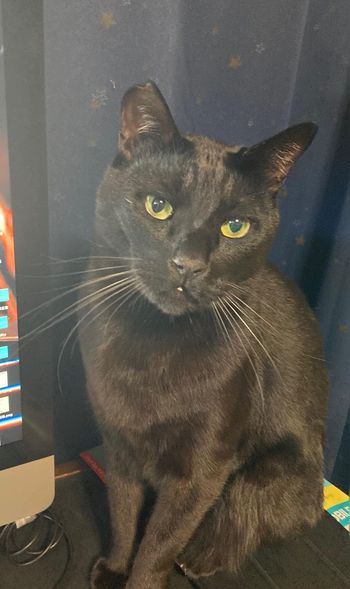 270748275_1600901816909201_1846102043654511205_n