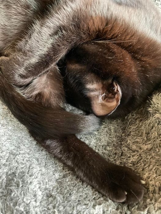 271171804_1601423200190396_2057182148400230222_n