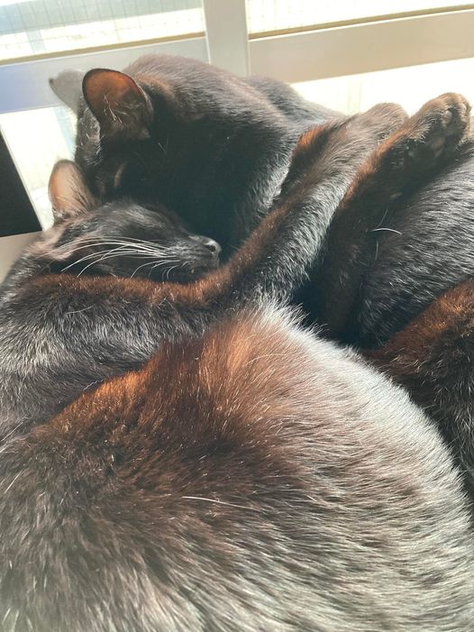 272042377_1612138305785552_2329301959898101327_n