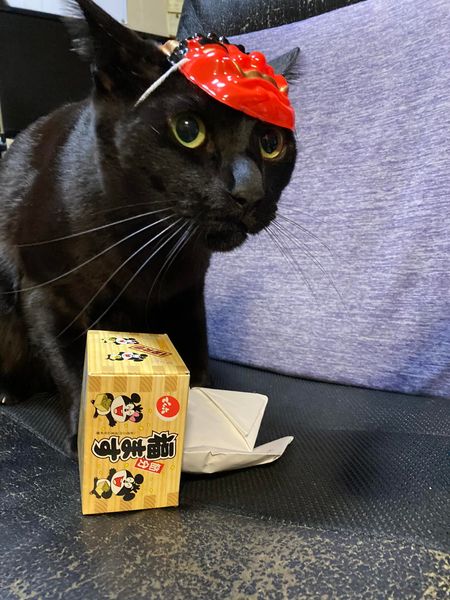 272881006_1623547447977971_4451259864937247512_n