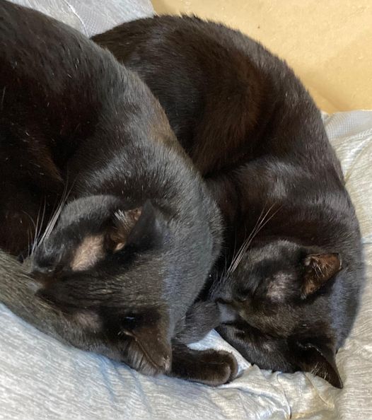 273432711_1624816254517757_3897790515968400205_n