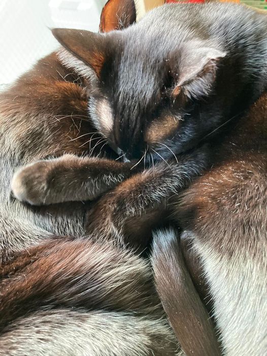 273503271_1625406307792085_4568201413526666986_n