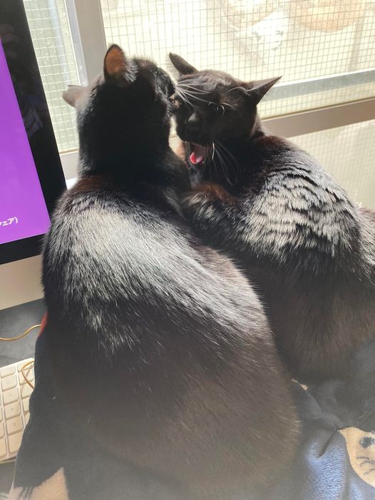 274582073_1637697306562985_8442086431436323199_n