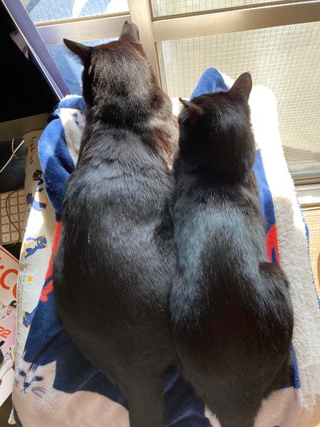 274726269_1640659899600059_7649002117016443906_n