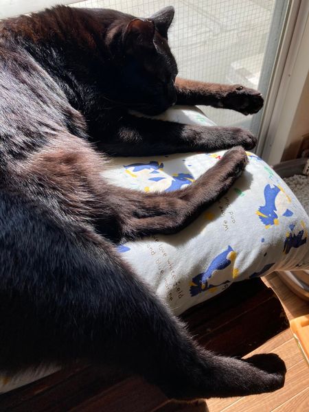 274785232_1640659846266731_3628992140260448800_n