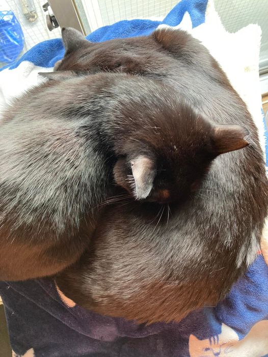 274892399_1639951313004251_5770231411744558005_n