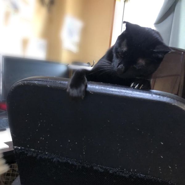 96832104_1156648301334557_5880426001980194816_n