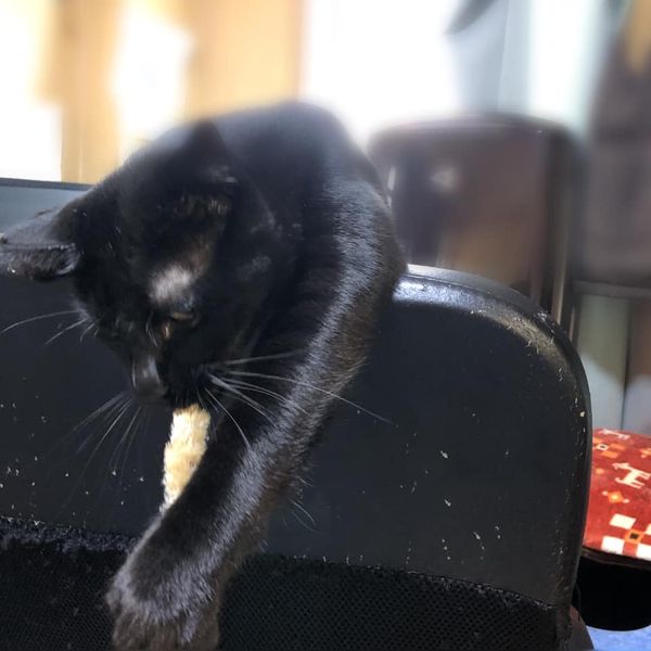 97913897_1156648324667888_6274807431155417088_n