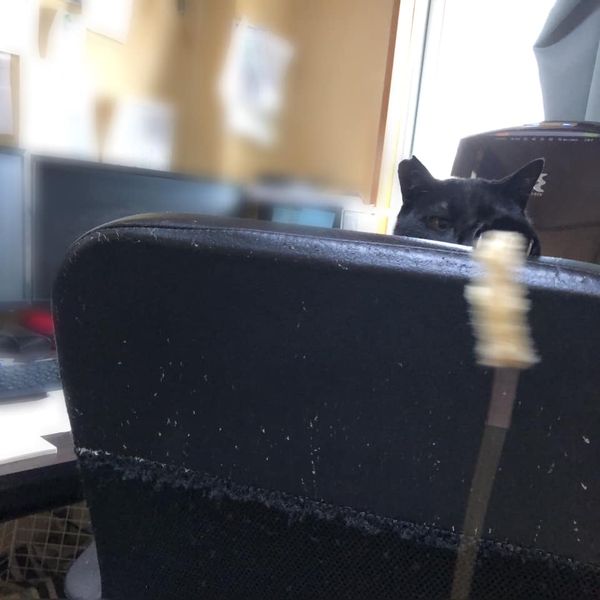 98067442_1156648341334553_2212731816203255808_n