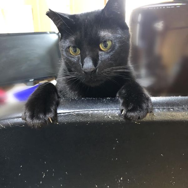 99118721_1156648284667892_484018792507113472_n