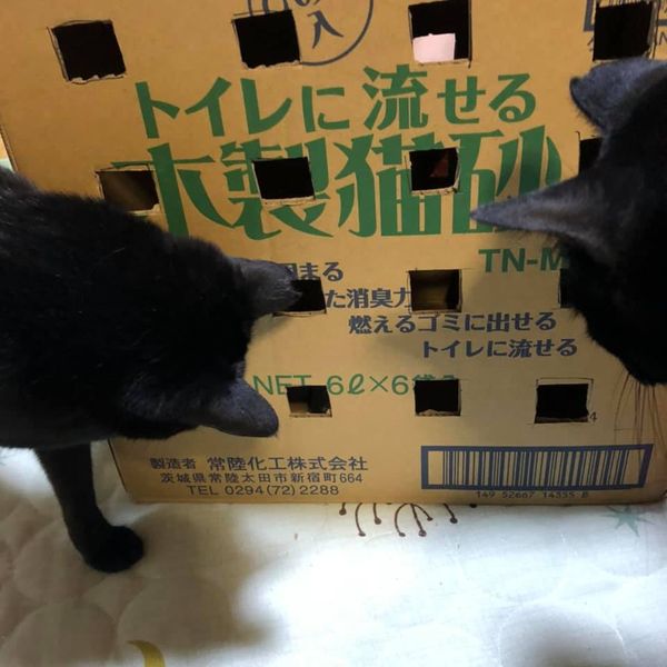 99427397_1166547967011257_999440676485595136_n