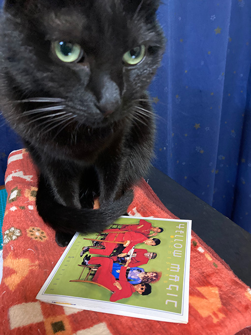 I love Y.M.O. forever.