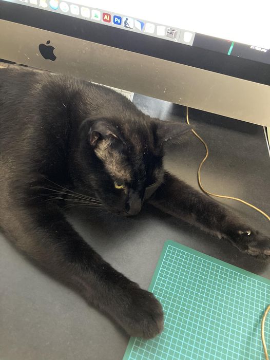 今日のくろねこ　キーボード