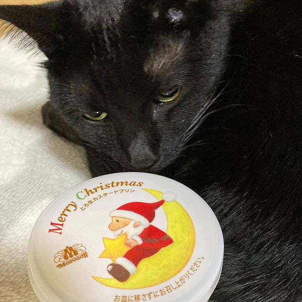 クリスマスのあられ