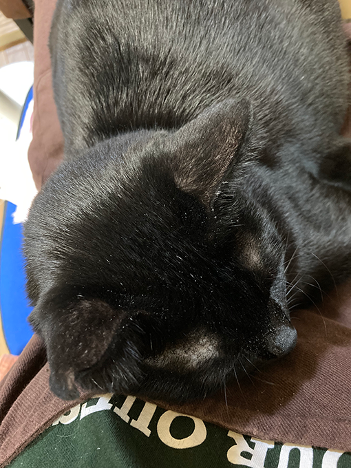 ひっつくちまき