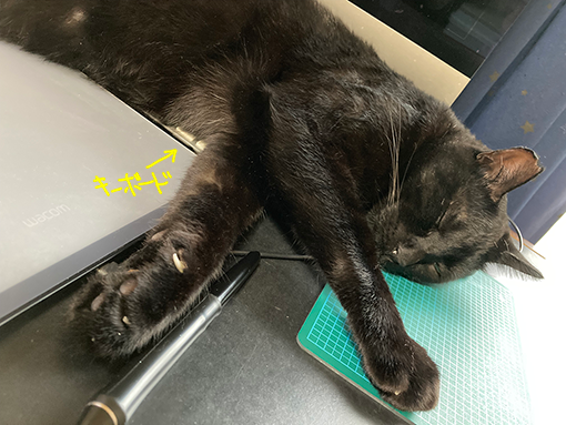 キーボードとちまき