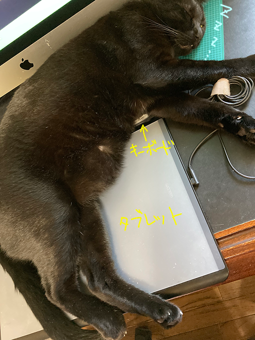 ぐっすりちまき