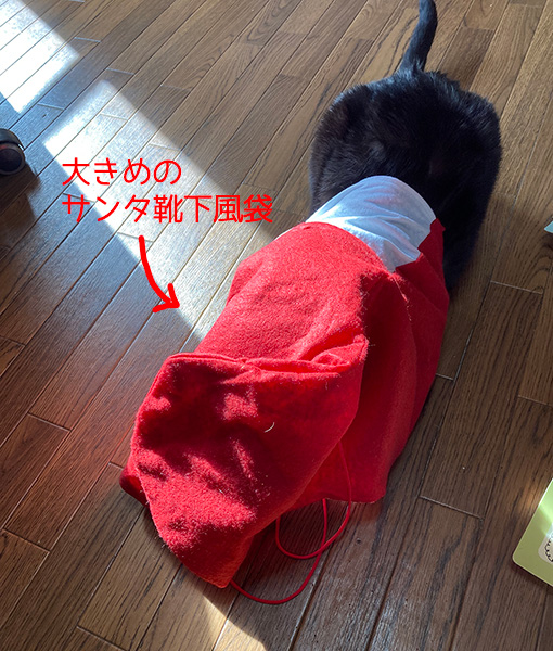 サンタ靴下とちまき