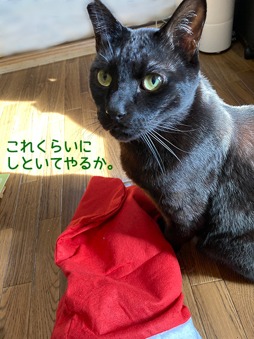 サンタ靴下とちまき