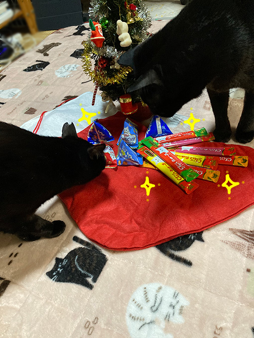 くろねこのクリスマス