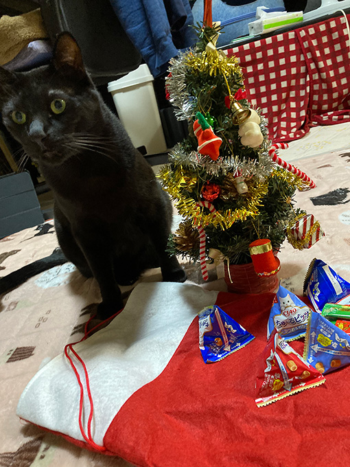 ちまきとツリー