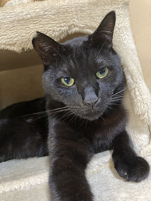 ちょっと寒かった