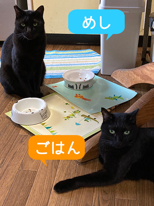 お誕生日おめでとう